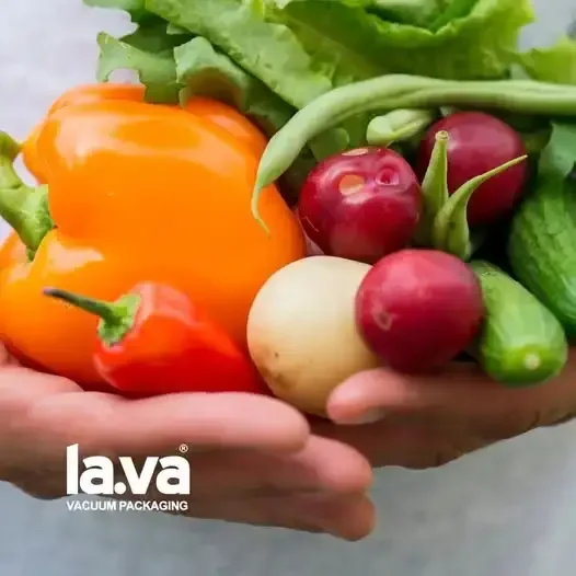 Retain Freshness — Lava-SA
